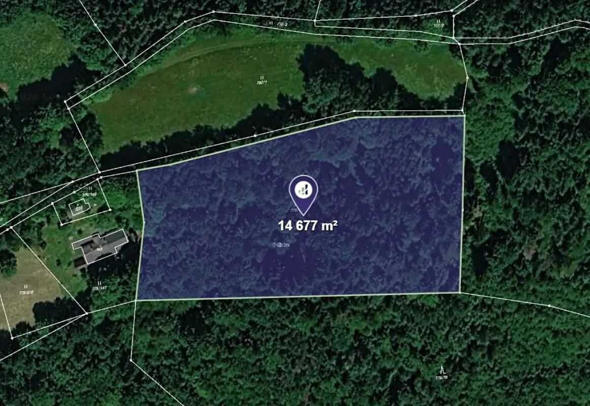 Prodej lesa 14677 m²